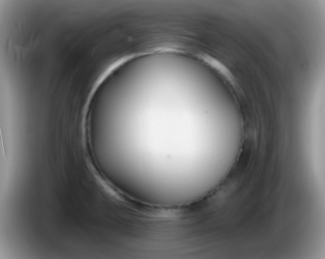 X0000086251423200704121943