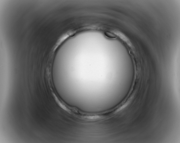 X0000086251425200704121943
