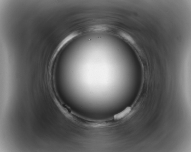 X0000086251426200704121943