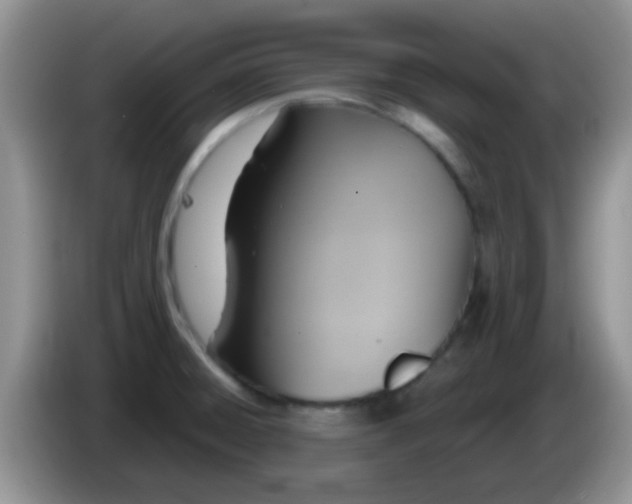 X0000086251428200704121943