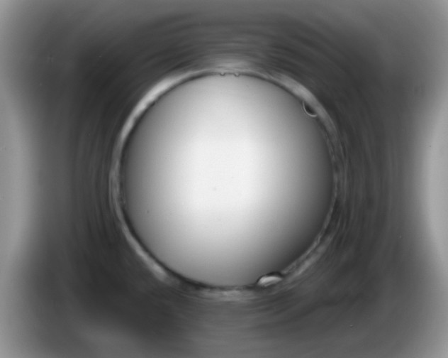 X0000086251432200704121943