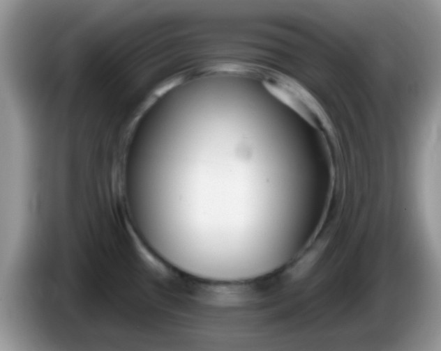 X0000086251433200704121943