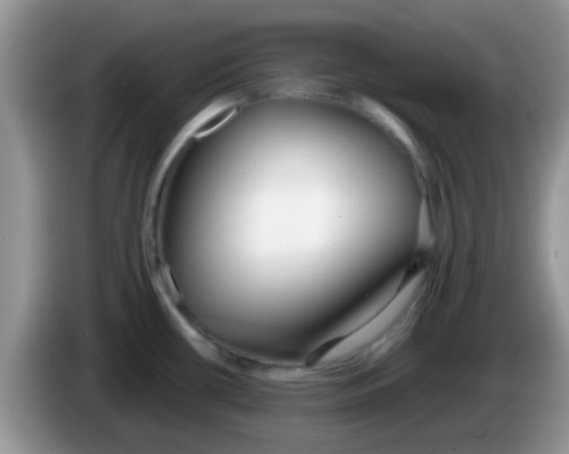X0000086251434200704121943