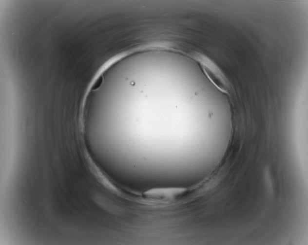 X0000086251436200704121943