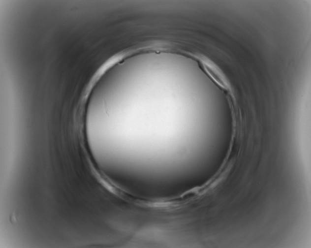 X0000086251437200704121943