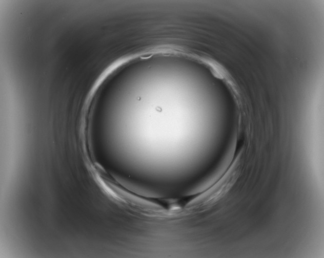 X0000086251438200704121943