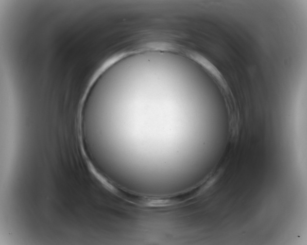 X0000086251439200704121943
