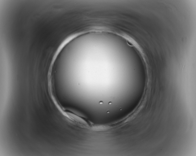 X0000086251440200704121943