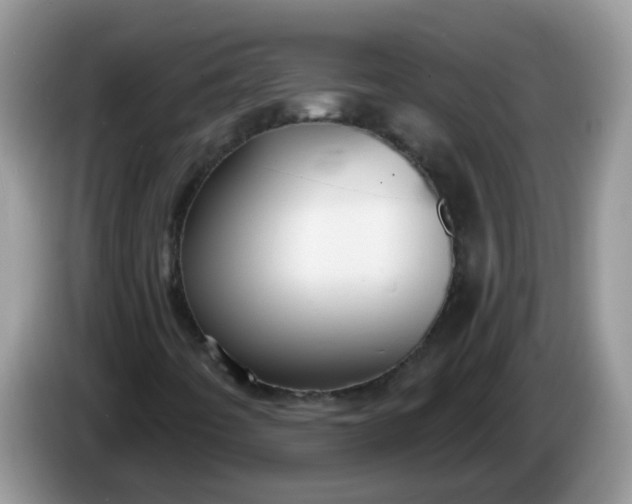 X0000086251442200704121943