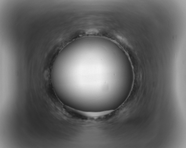 X0000086251445200704121943