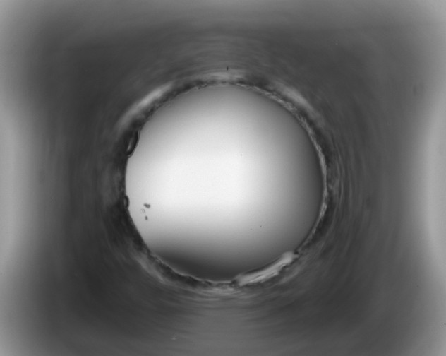 X0000086251448200704121943