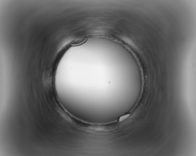 X0000086251450200704121943