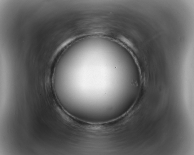 X0000086251452200704121943