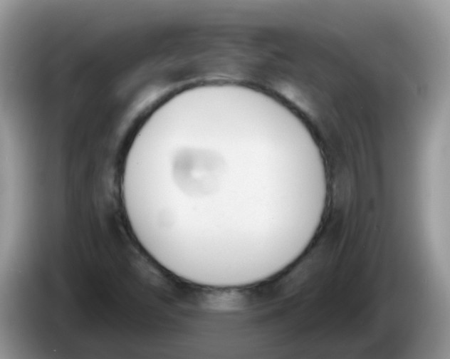 X0000086251454200704121943