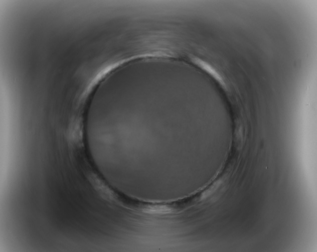 X0000086251455200704121943