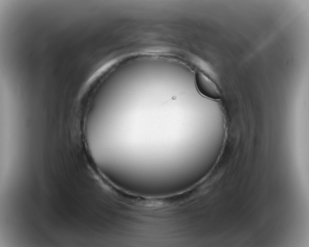 X0000086251456200704121943