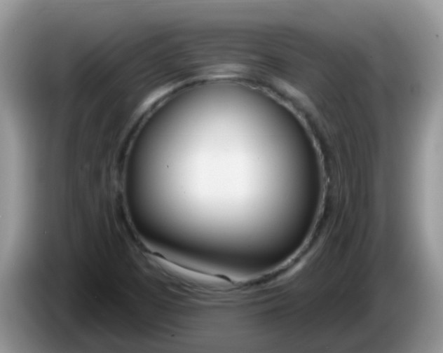 X0000086251457200704121943