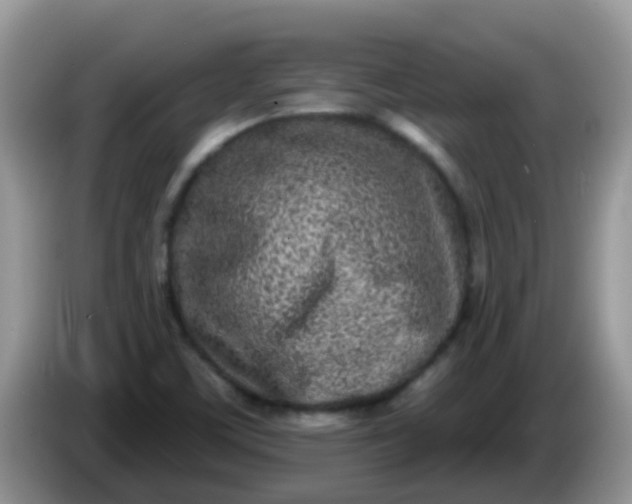 X0000086251459200704121943