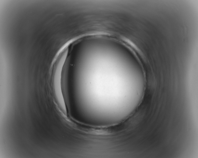 X0000086251460200704121943