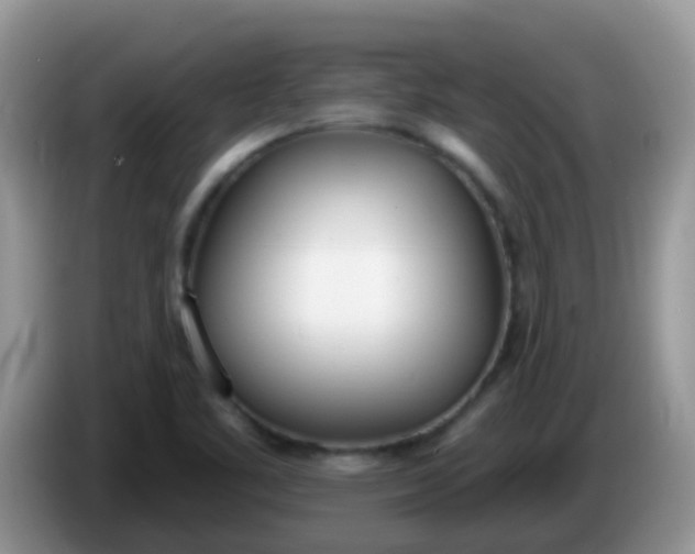 X0000086251461200704121943