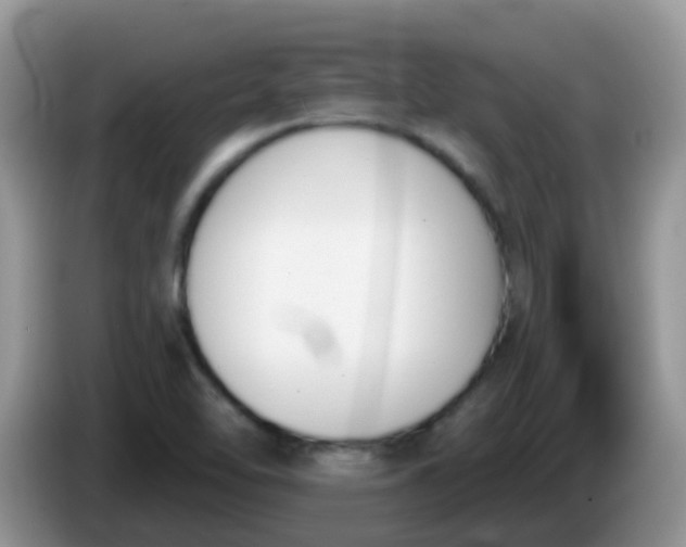 X0000086251462200704121943