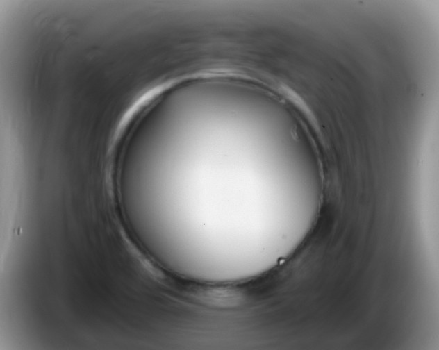 X0000086251464200704121943