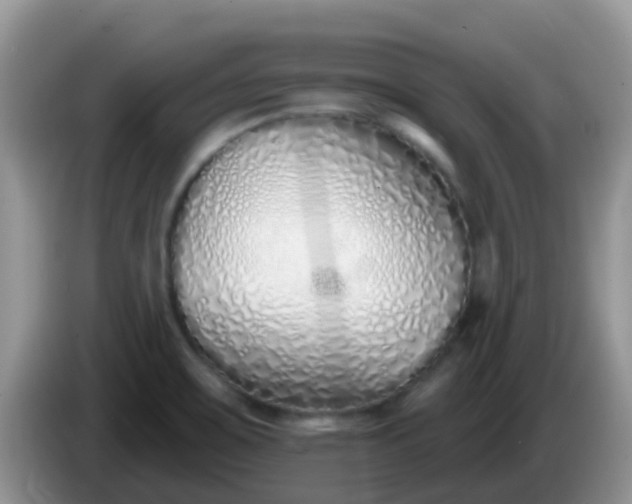 X0000086251467200704121943