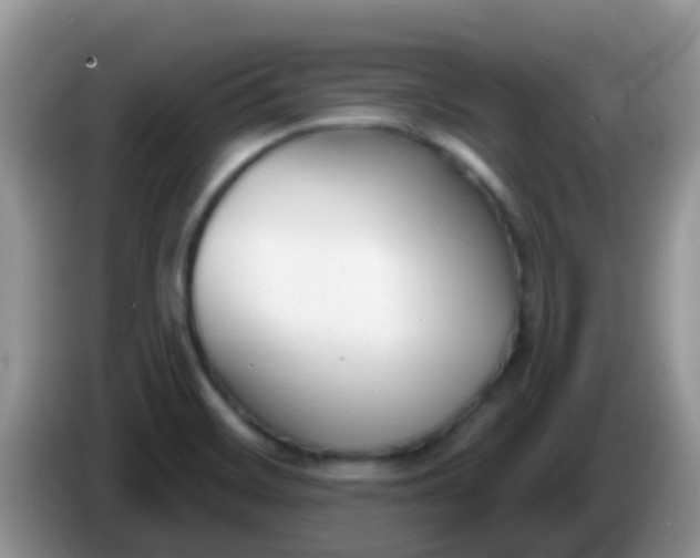 X0000086251468200704121943