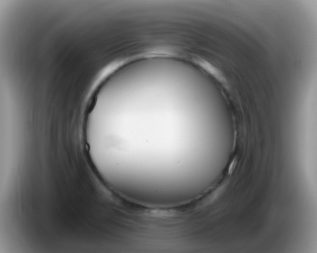 X0000086251469200704121943