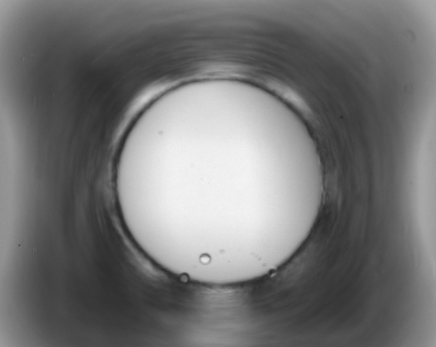 X0000086251470200704121943
