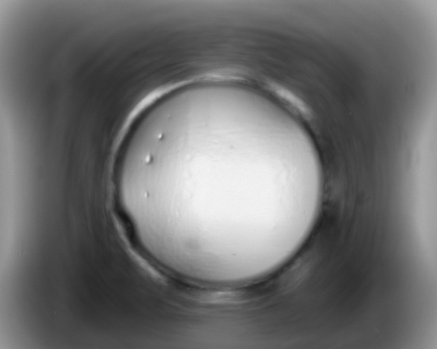 X0000086251471200704121942