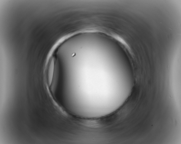 X0000086251472200704121942