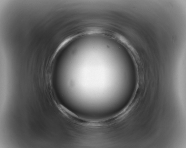 X0000086251473200704121942