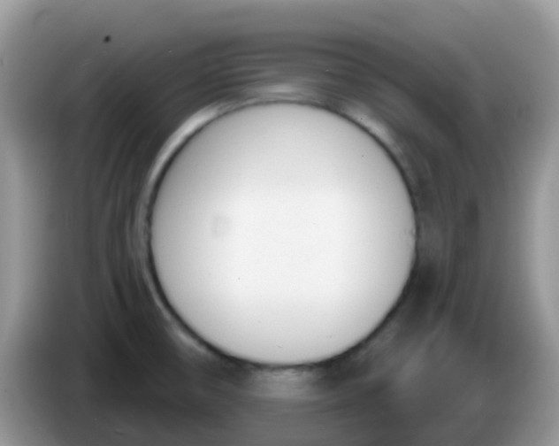 X0000086251474200704121942