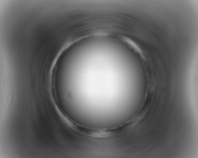 X0000086251475200704121942