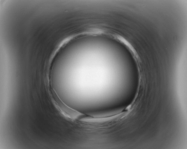 X0000086251477200704121942