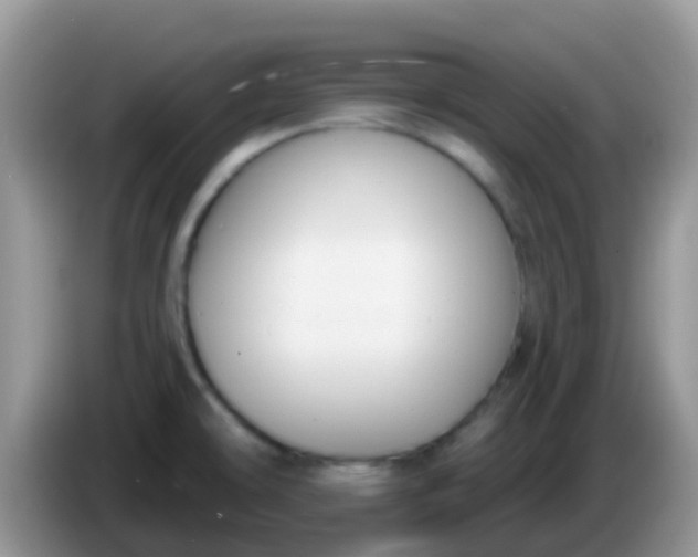 X0000086251478200704121942