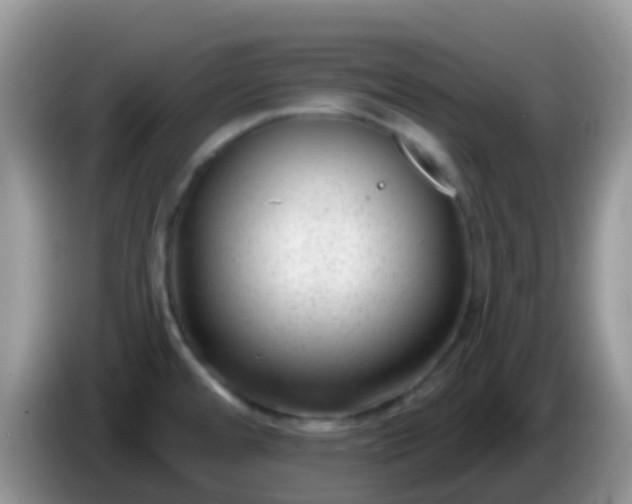 X0000086251480200704121942