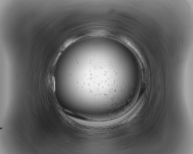 X0000086251481200704121942