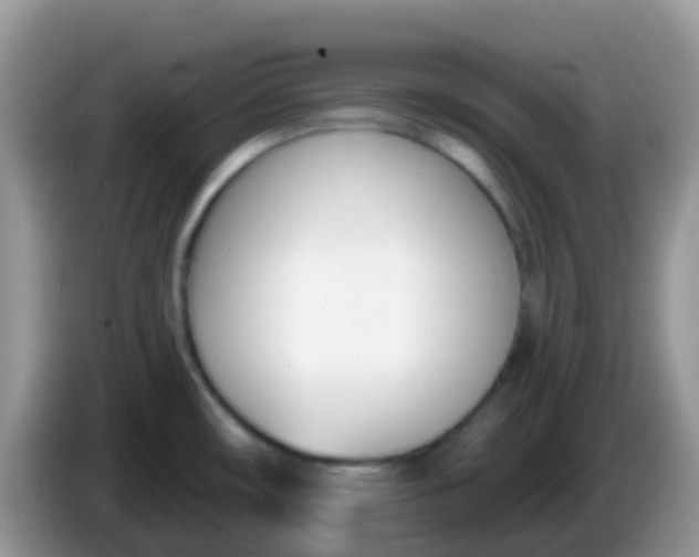X0000086251482200704121942