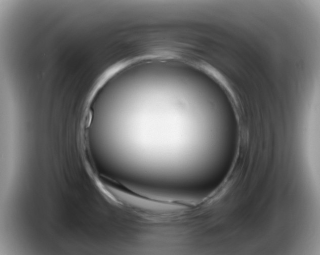 X0000086251485200704121942
