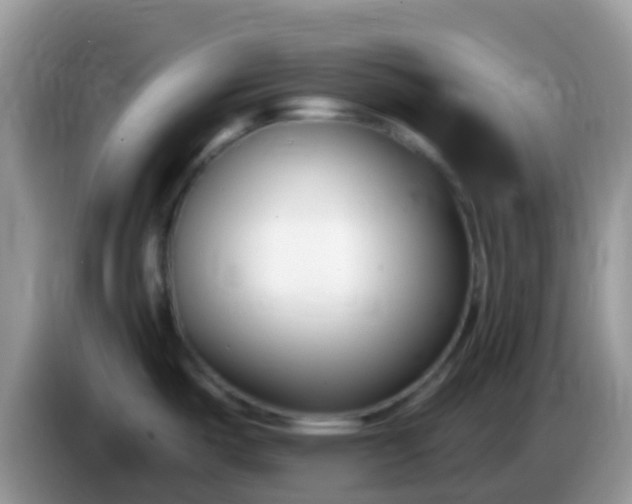 X0000086251487200704121942