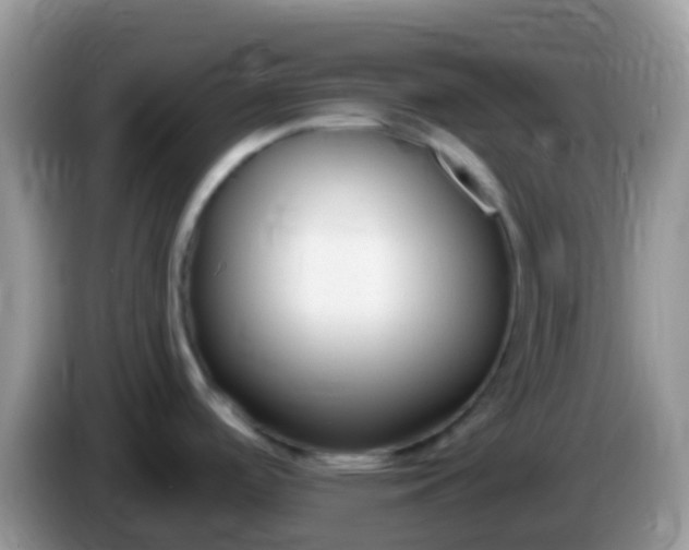 X0000086251488200704121942