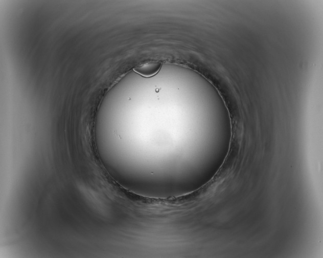 X0000086251489200704121942