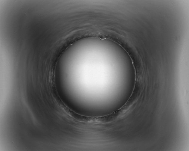 X0000086251490200704121942