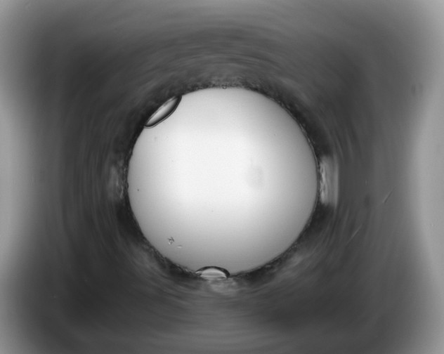 X0000086251491200704121942