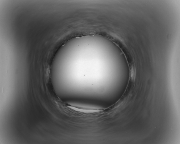X0000086251492200704121942