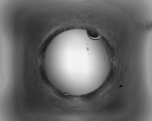 X0000086251495200704121942