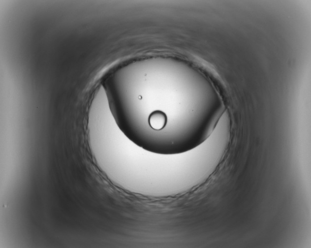 X0000086251496200704121942