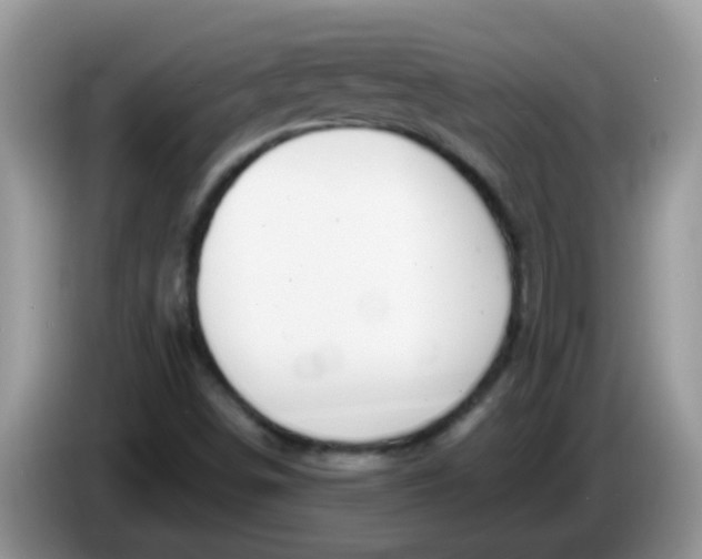 X0000086251498200704121942